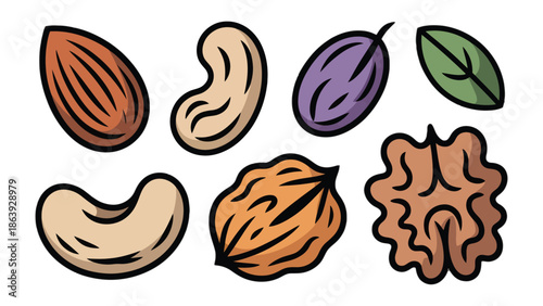 Nuts and Leaf Illustration: A vibrant illustration showcasing a diverse selection of nuts and a fresh green leaf, ideal for culinary or health-related themes. 