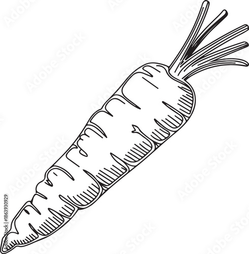 A black and white vector illustration of a carrot, highlighting its conical shape and the texture of its skin and foliage.