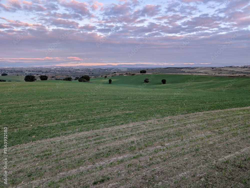 Obraz premium Green fields stretch across the landscape under a cloudy sky at dusk in the countryside