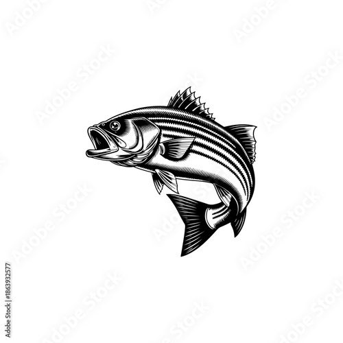 Dynamic black and white vector illustration of a largemouth bass fish leaping with its mouth open. Perfect for fishing logos, emblems, apparel, or team mascot design.