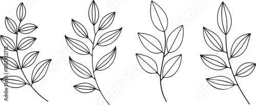Tableau sur toile A collection of four minimalist botanical illustrations, featuring delicate branches with pinnate leaves in a simple black and white line art style