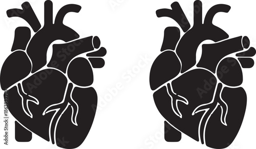 Vector icons of the anatomical heart, a common graphic used in medical, health, biology, and cardiology-related designs.