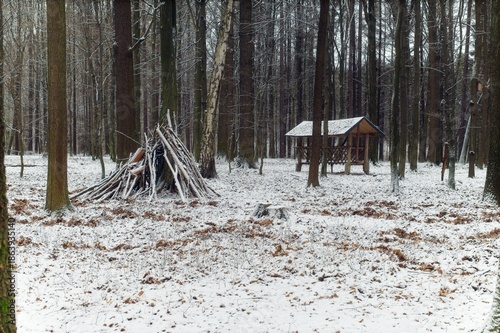 Wallpaper Mural A handmade lean-to shelter built from wooden branches against a tree trunk in a snow-covered deciduous forest. Torontodigital.ca