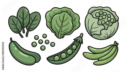 Green Veggie Assortment: A vibrant selection of fresh, green vegetables, from crisp spinach and cabbage to juicy cucumbers and peas, arranged in a visually appealing display.
