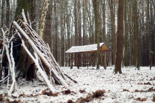 Wallpaper Mural A handmade lean-to shelter built from wooden branches against a tree trunk in a snow-covered deciduous forest. Torontodigital.ca