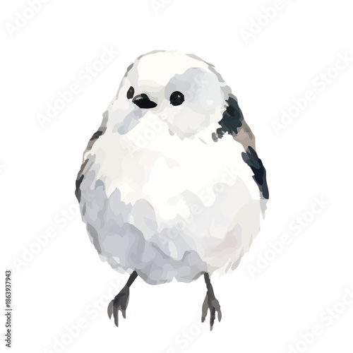 Watercolor-style long-tailed tit illustration／シマエナガ
