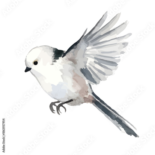 Watercolor-style long-tailed tit illustration／シマエナガ