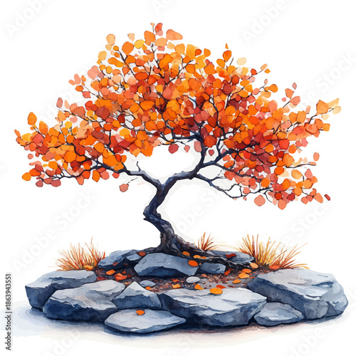 A Sycamore Bonsai, watercolor drawing vector, isolated on a white background.