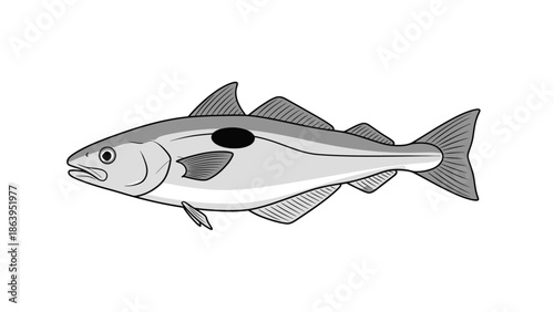 fish isolated in white background vector