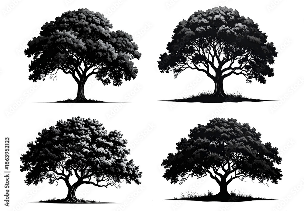 Fototapeta premium Black tree silhouette set, minimalist and artistic, isolated on white.