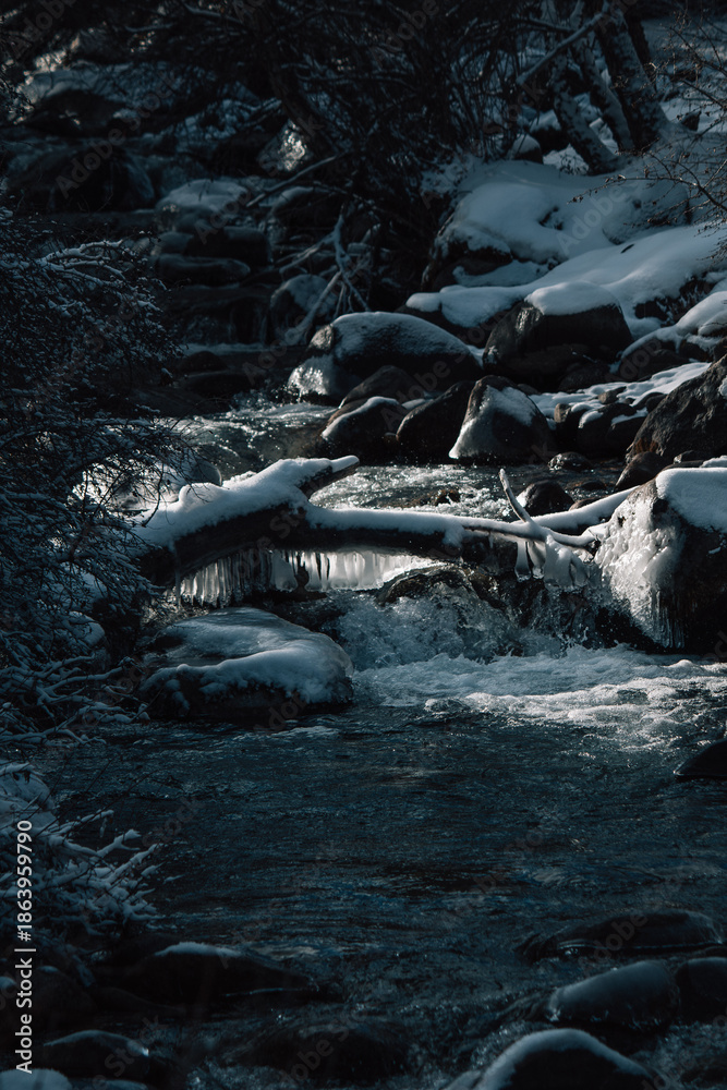 Fototapeta premium A fallen frozen branch over a river. Winter river landscape.
