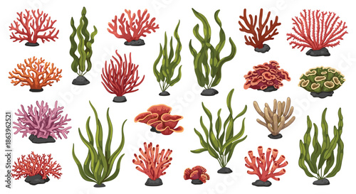 Comprehensive collection of colorful pixel art corals, sea anemones, and aquatic plants displayed on a white background.
