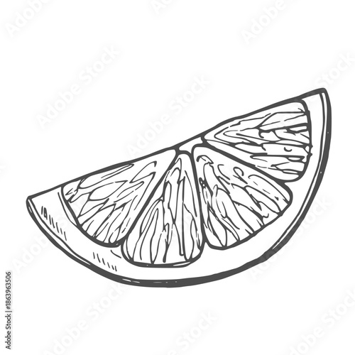 Fruit piece lemon slice tea ingredient isolated sketch vector food growing agriculture market garden