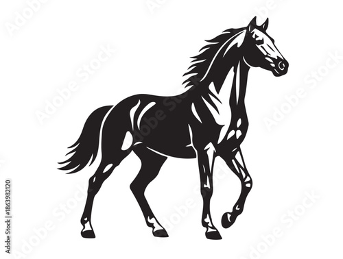 Horse in silhouette white background.