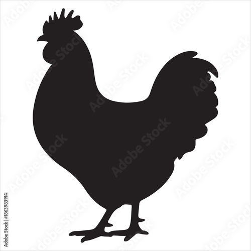 Chicken Vector 