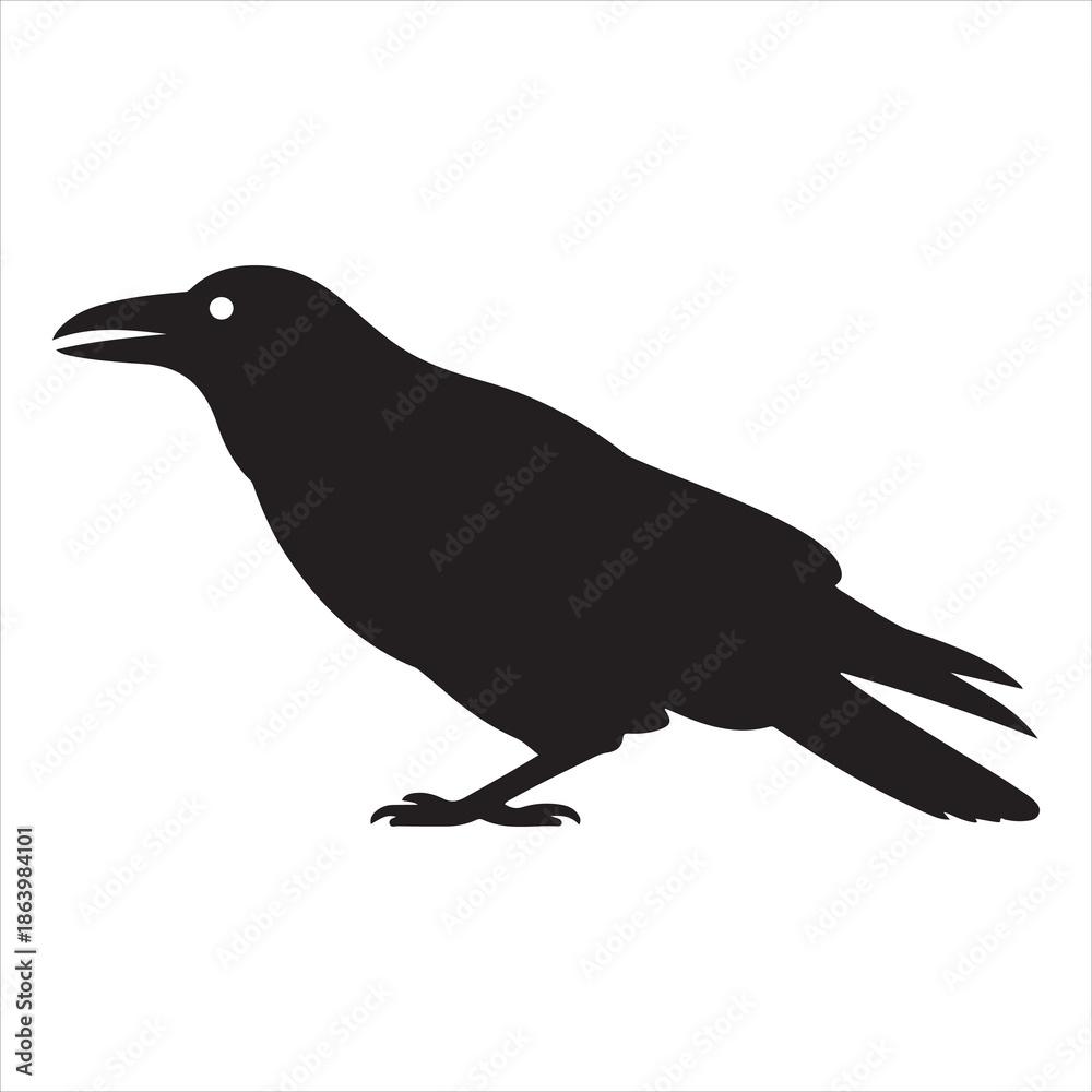 Fototapeta premium Crow Vector 