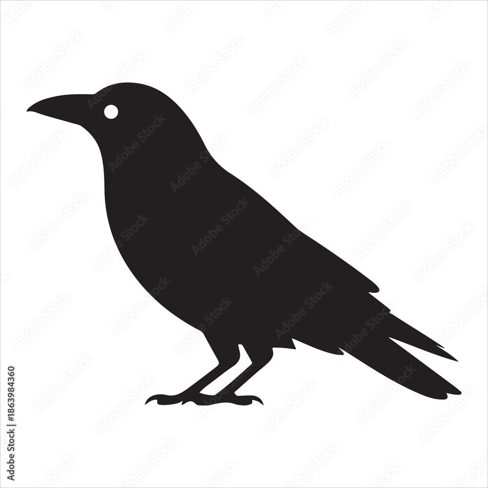 Obraz premium Crow Vector 