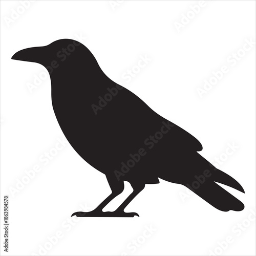 Crow Vector 
