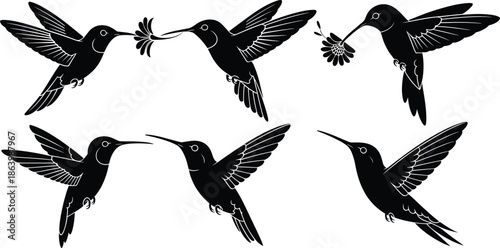 Set of flying hummingbird silhouettes vector illustration isolated on white background showing birds with flowers elegant nature wildlife collection