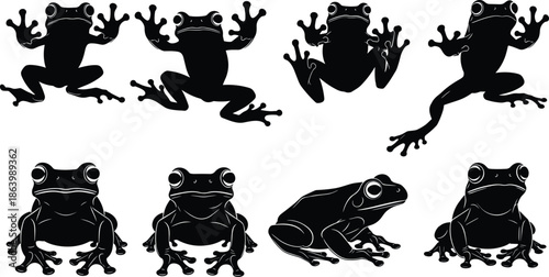 Frog silhouettes set in different poses, jumping and sitting amphibians, wildlife animal collection, black vector illustration isolated on white for nature design
