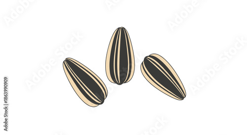 Three natural sunflower seeds in their shells shown from different angles on a white background, useful for agriculture and healthy snack designs.
