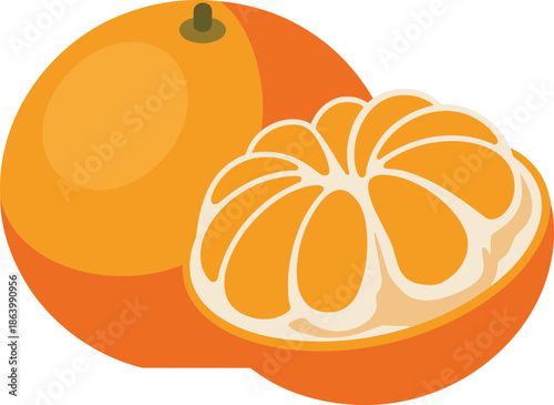 Orange fruit with peeled tangerine segments vector illustration for summer food