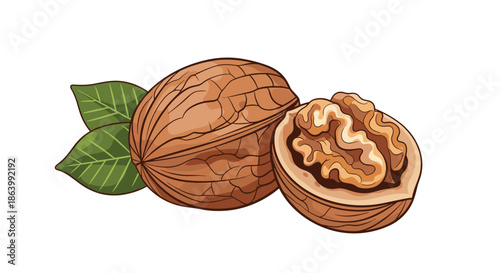Single whole walnut and a half-cracked shell revealing the internal nut kernel paired with two fresh green leaves on a plain white background.