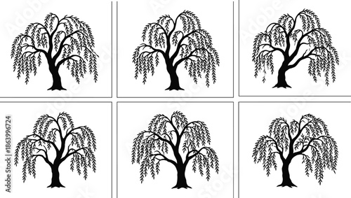 Willow tree silhouette set, black isolated trees, nature elements, botanical shapes, forest icons, minimal style, editable design, flat vector illustration
