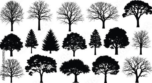 Flying and resting butterfly silhouettes vector illustration set, various shapes and detailed styles of beautiful insect wings, natural spring fauna graphic design elements collection, 