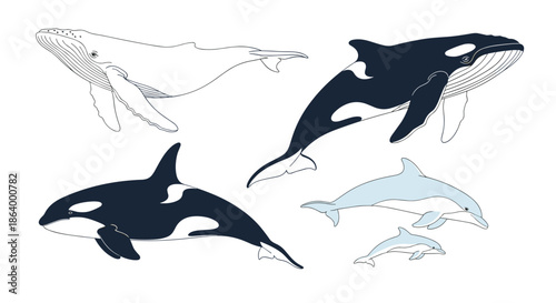 Set of hand-drawn marine mammals including a whale, orcas, and dolphins in a beautiful sketchy style, isolated on white background.