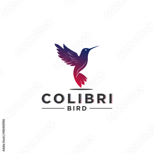 Vibrant hummingbird logo with Colibri Bird text branding