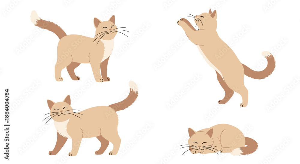 Fototapeta premium Set of light brown cat illustrations depicts the animal in various active poses like walking and stretching for pet owners.