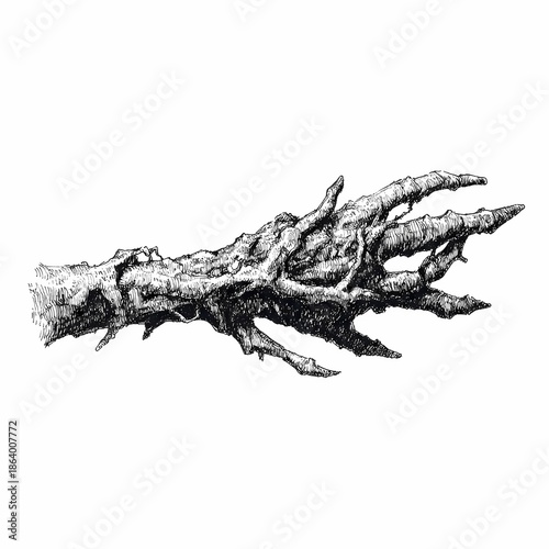 Severed human arm mutating into thorny twisted branches, cursed limb icon, hand drawn ink sketch.