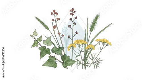 wild plants illustration with ivy grasses red berries and yellow yarrow flowers forming a natural organic design for herbal medicine branding