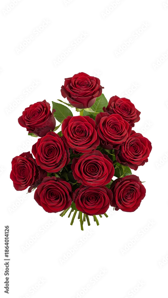 Obraz premium Top view of black baccara rose flower bouquet PNG. Bunch of deep burgundy blooms with green leaves. Dark red floral decoration for elegant gift isolated