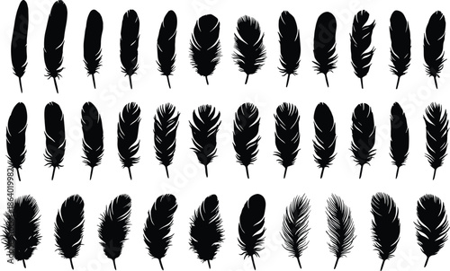 Black feather silhouette collection illustration featuring various bird plume shapes and textures isolated on white background for design and decoration use