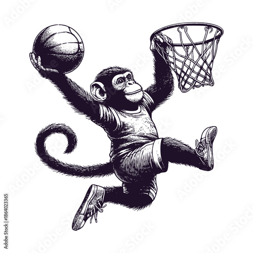 chimpanzee doing a slam dunk