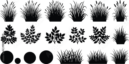 Collection of black vector silhouettes featuring grass, bushes, herbs, and plants isolated on white background for nature landscape design