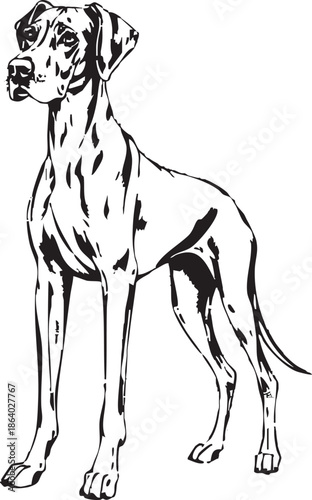 picture, clipart, drawing, illustration, Design, Print, Creative, Puppy, Dog