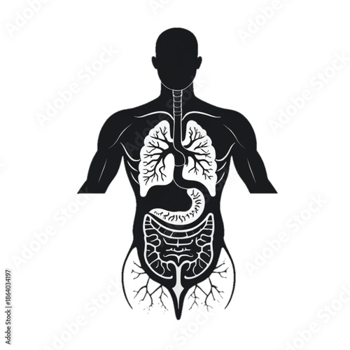 Human digestive system silhouette, flat vector medical illustration, solid black anatomy shape, centered composition, isolated on plain background