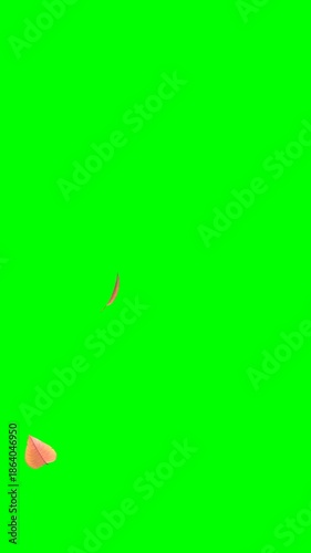 Dry Leaves Blowing Across on Green Screen Portrait