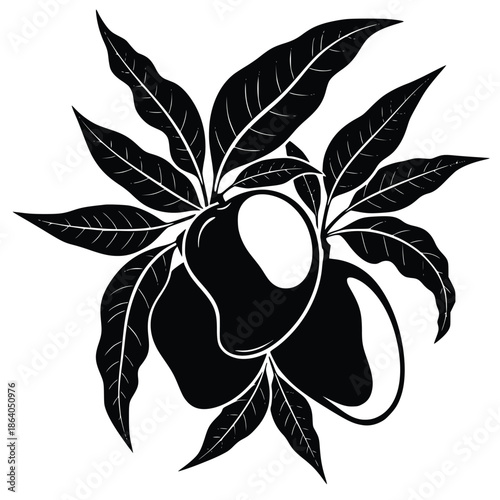 triking black and white graphic illustration depicting ripe mangoes hanging from a leafy tropical fruit branch design element