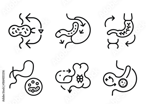 Illustrations of digestive system, gastric function, and related processes with arrows