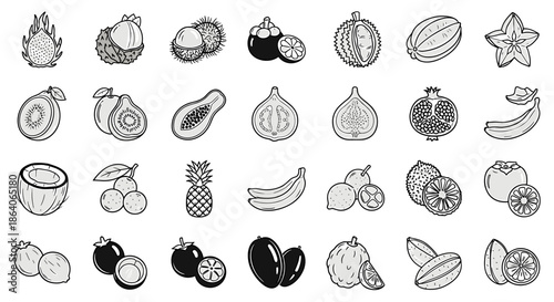 Collection of Exotic Tropical Fruits and Citrus Slices Hand Drawn Style Vector Icons and Illustrations