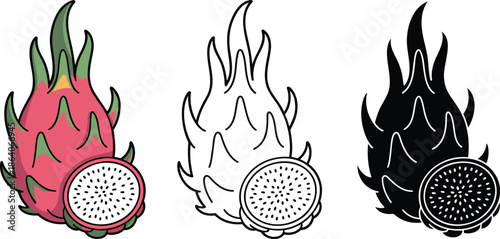 Dragon fruit silhouette & Outline and illustration set isolated on transparent background 