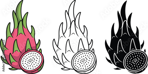 Dragon fruit silhouette & Outline and illustration set isolated on transparent background 