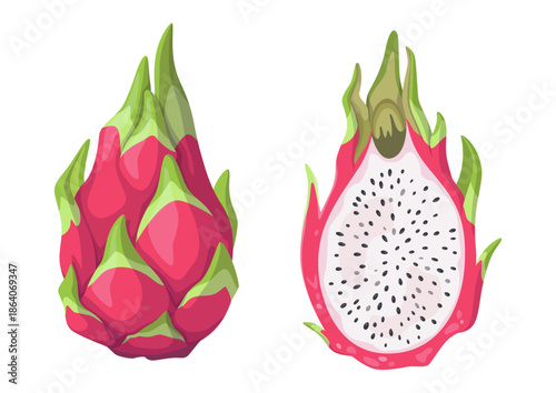 Dragon fruit, whole and half. Ripe pitaya or pitahaya cut in half. Tropical exotic fruit, vector illustration.