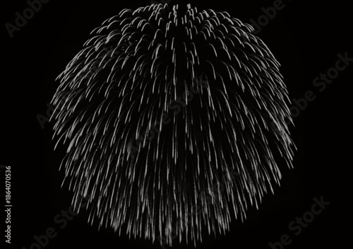 Fireworks exploding in the night sky creating a beautiful display of lights and colors against a dark background with streaks of light radiating downwards in a spherical pattern.