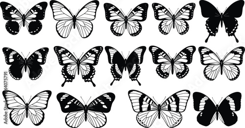 Black and white butterfly silhouettes set, detailed insect wings collection, decorative nature icons, isolated vector illustration for design, tattoo, logo use