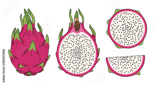 Detailed illustration of dragon fruit showing whole fruit, half cut, cross-section slice, and wedge for food design art.